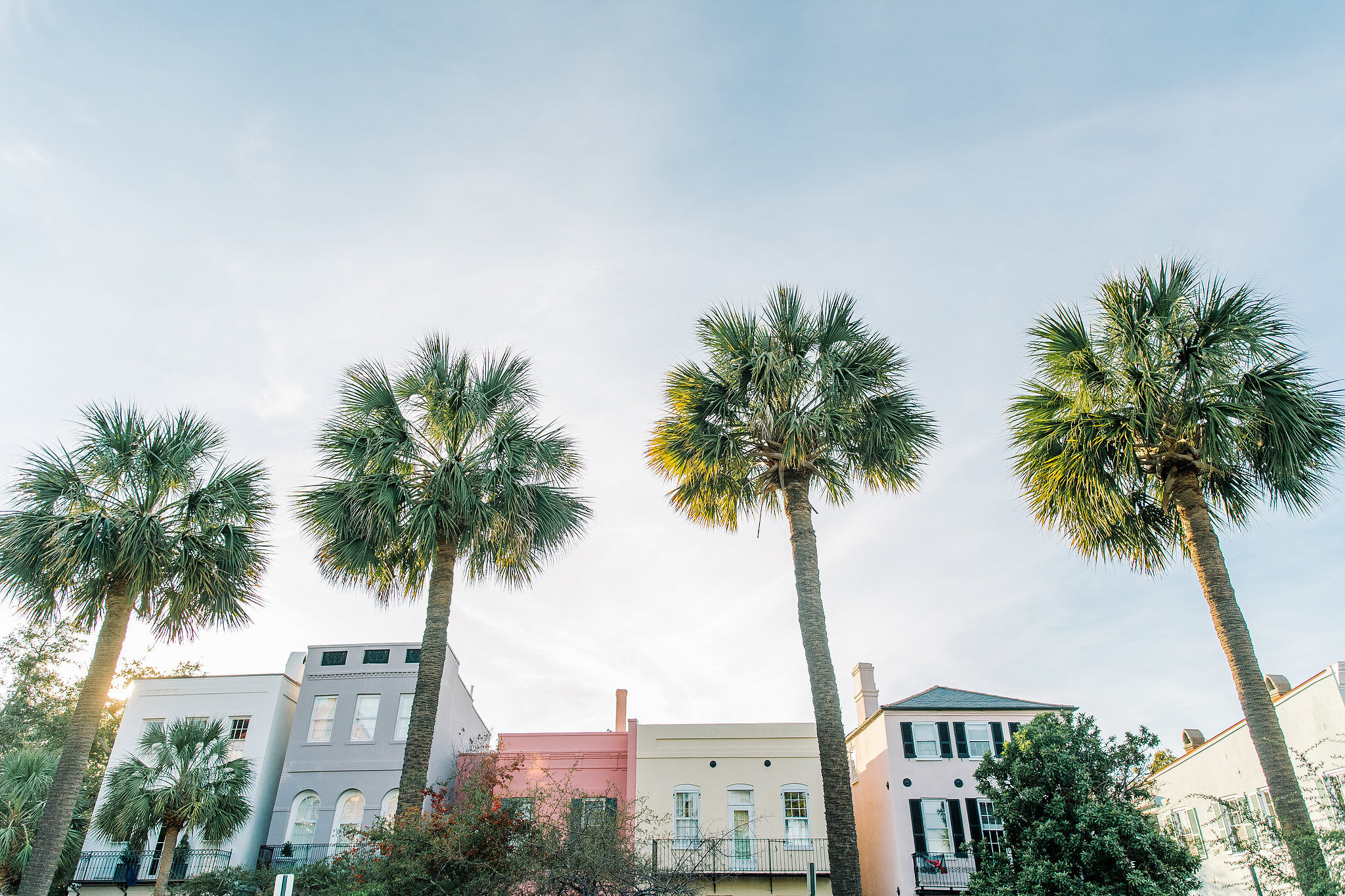 Row of townhouses in downtown Charleston, South Carolina with palm trees.
